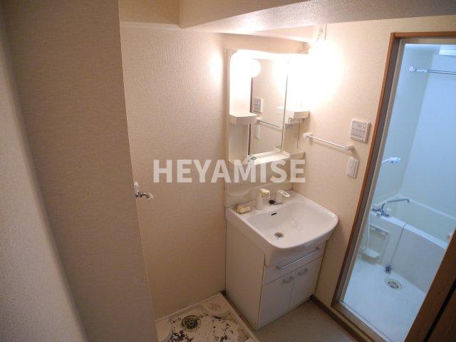 洗面設備　※室内画像は別号室のもの