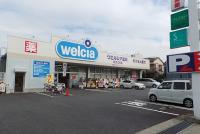 ドラックストア　ウェルシア　足立江北店（ドラッグストア）まで734m