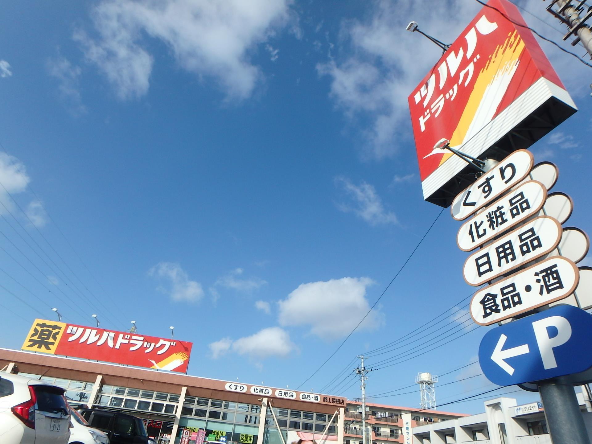 ドラックストア　ツルハドラッグ郡山菜根店（ドラッグストア）まで819m