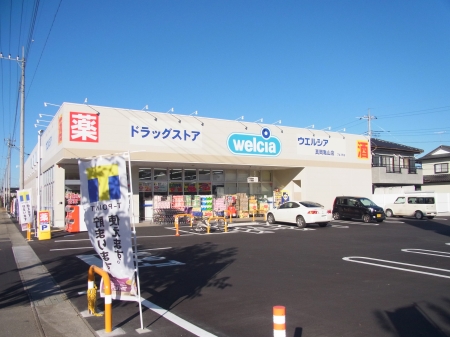 ドラックストア　ウエルシア真岡亀山店（ドラッグストア）まで707m