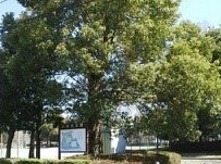 公園　舟地蔵公園（公園）まで750m