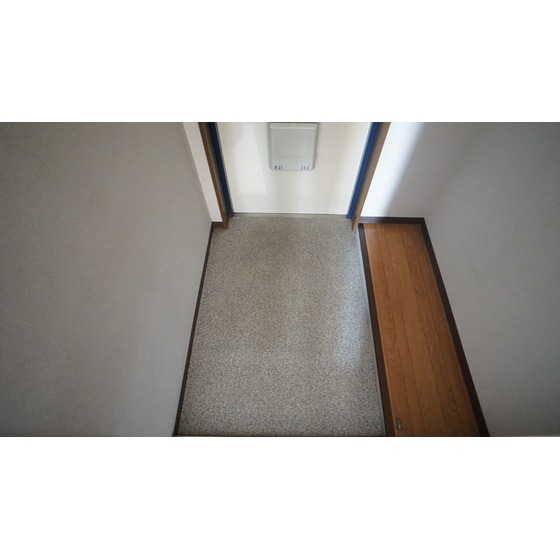 玄関　同仕様タイプ