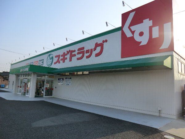 ドラックストア　スギ薬局松河戸店（ドラッグストア）まで572m