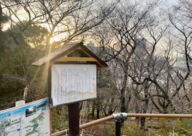 公園　箱根山（公園）まで438m