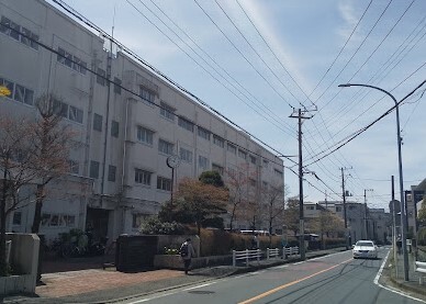 中学校　横浜市立新田中学校（中学校）まで1109m