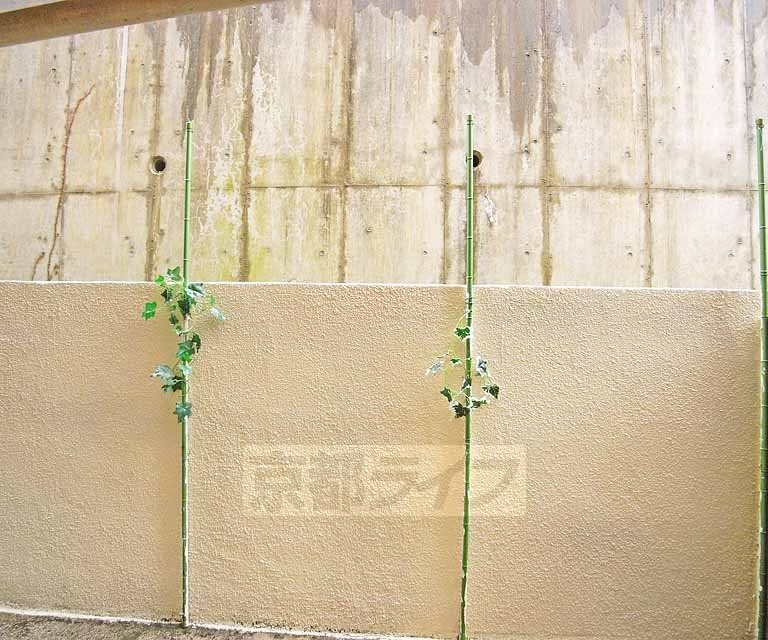 眺望　１階のお部屋からの風景です