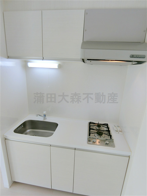 キッチン　2口ガスシステムキッチン