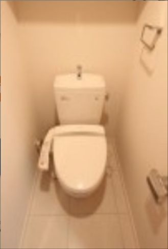 トイレ　※同仕様写真含む