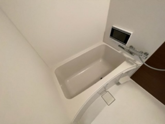 バス・シャワールーム　※別部屋の写真です