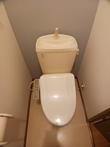 トイレ　トイレも気になるポイント