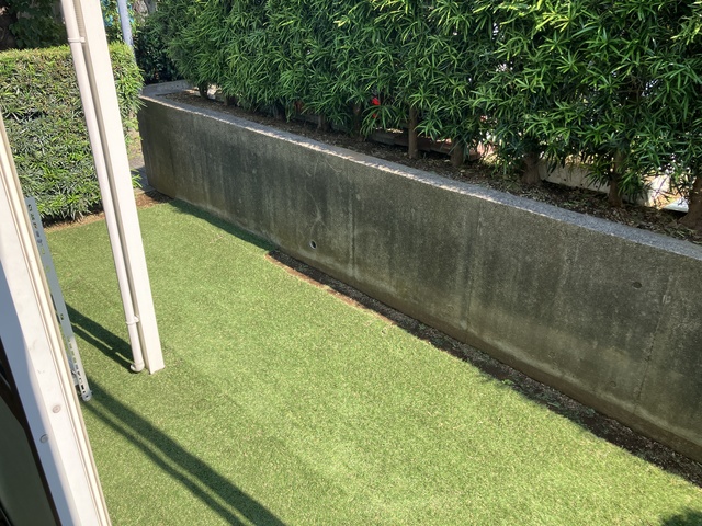 庭