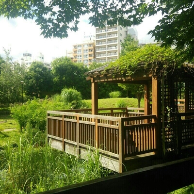 公園　読書の森公園★（公園）まで402m