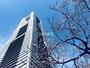 ショッピングセンター　ランドマークタワー（ショッピングセンター）まで800m