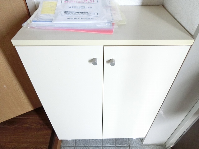 玄関　（反転タイプの部屋のものになります）