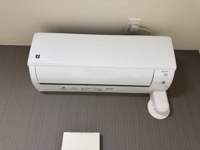 プラシッド ピュールのその他写真
