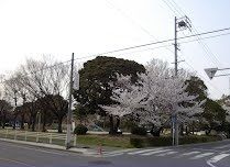 公園　原崎公園（公園）まで1000m