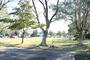 公園　桜ケ丘公園（公園）まで508m