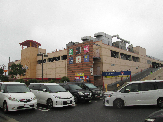 ドラックストア　ハックドラッグ綾瀬タウンヒルズ店（ドラッグストア）まで583m