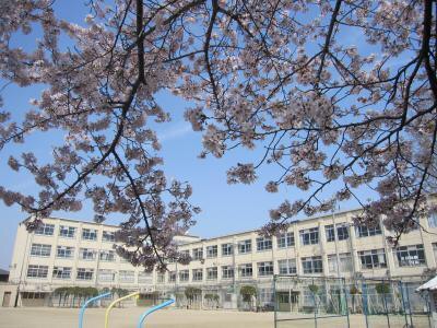 小学校　京都市立 伏見住吉小学校（小学校）まで548m