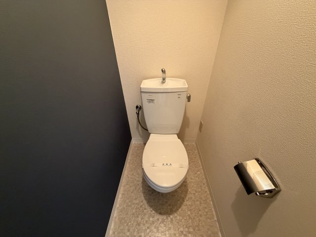ハイツ菊水のトイレ写真