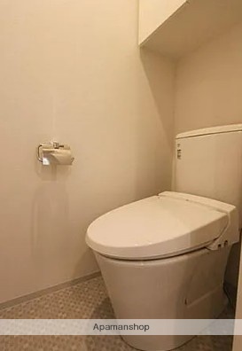 東武亀戸線 東あずま駅 徒歩7分 5階建 築9年のトイレ写真