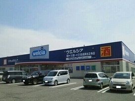 ドラックストア　ウエルシア（ドラッグストア）まで740m