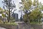 公園　南大江公園（公園）まで817m