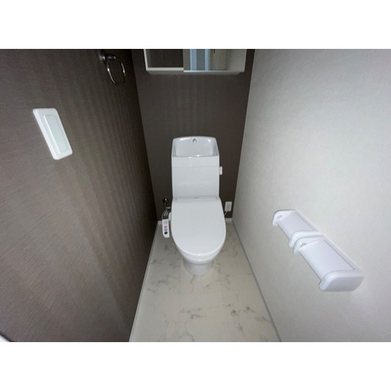 メゾン リ・イルIのトイレ写真