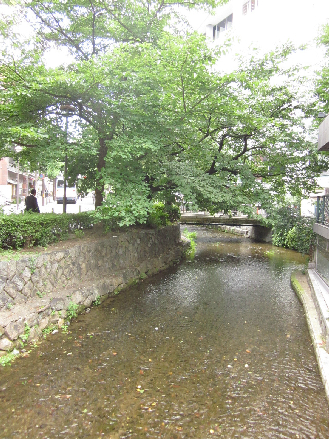 その他　高瀬川に隣接しており、桜・紅葉のシーズンは必見です。（その他）まで16m