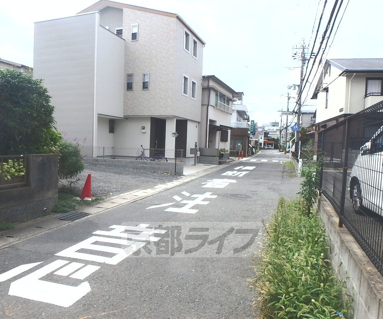 アムール葵のその他写真