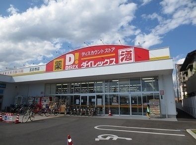 その他　ダイレックス（その他）まで1100m