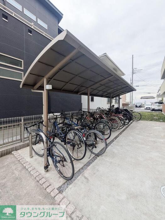 フリージア_その他_5