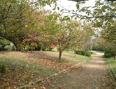 ハックベリー茨木南　沢良宜公園（その他　1167m）