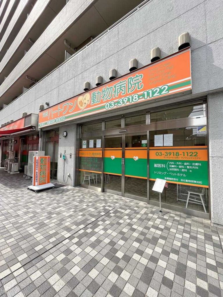 病院　動物病院（病院）まで800m