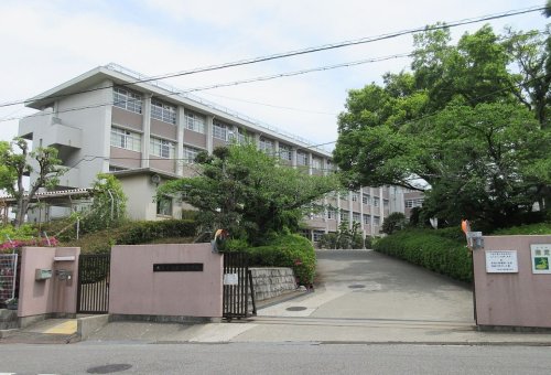 高校・高専　鳳高校（高校・高専）まで1550m