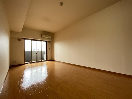 居室・リビング　※別部屋の写真です