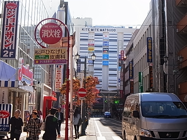 ホームセンター　島忠HOME’S(島忠ホームズ) KITE MITE MAT（ホームセンター）まで332m