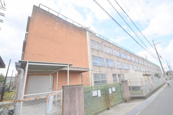 小学校　東大阪市立 池島小学校（小学校）まで1288m