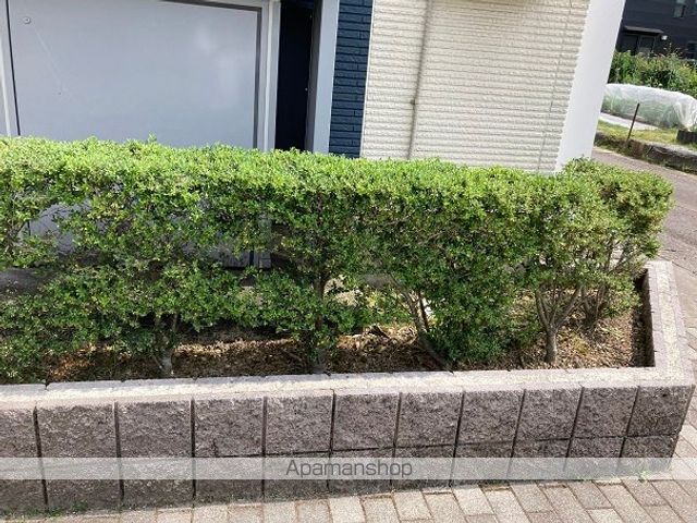 レオネクストすみれのその他写真
