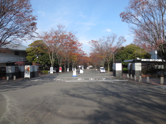 大学・短大　東海大学（大学・短大）まで648m