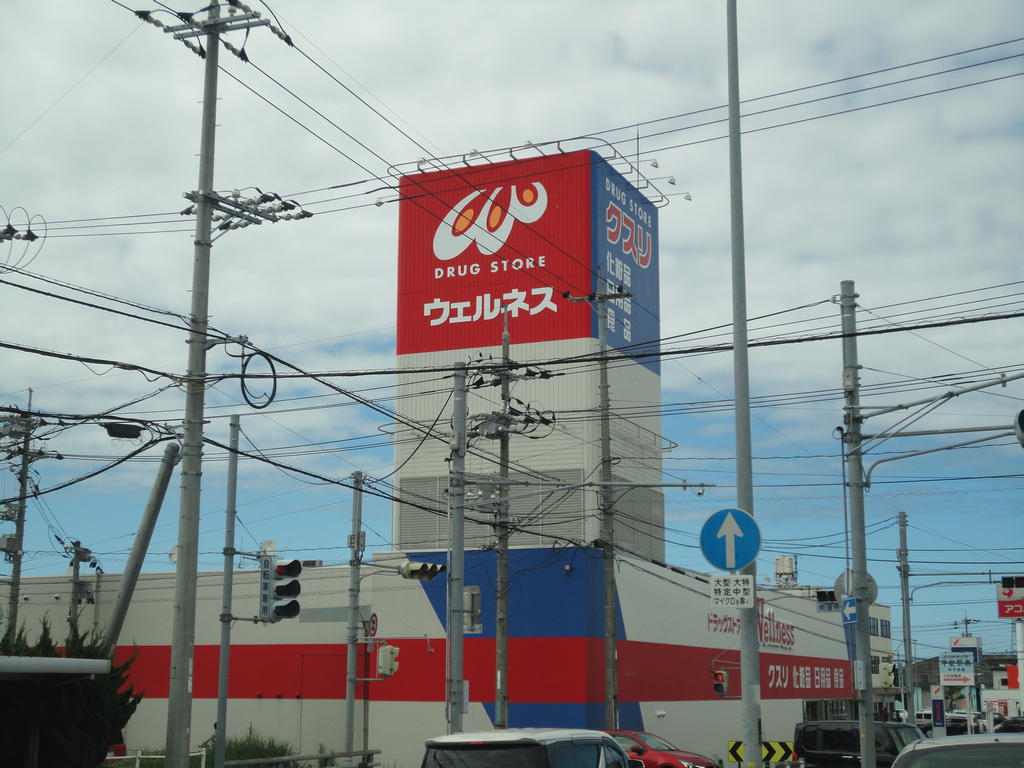 ドラックストア　ドラッグストアウェルネス米原店（ドラッグストア）まで683m