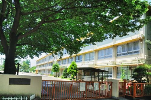小学校　小平市立小平第八小学校（小学校）まで566m