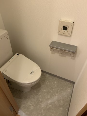 大阪モノレール本線 少路駅 徒歩11分 6階建 築19年のトイレ写真
