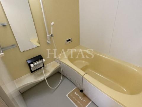 バス・シャワールーム　同物件別部屋です。