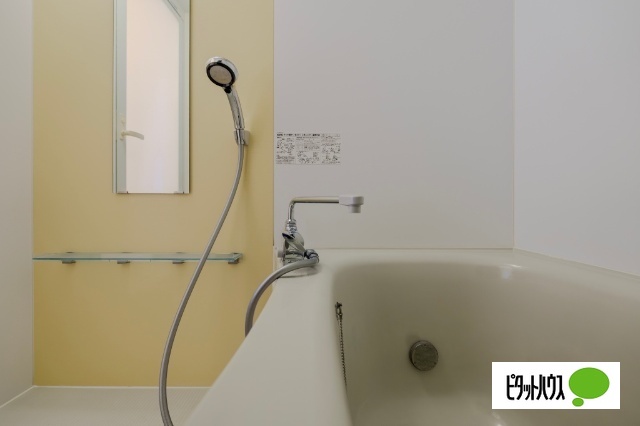 シェーン レジットの風呂写真