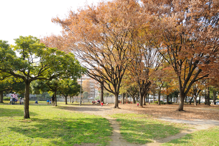 【オープンレジデンシア南青山の公園】