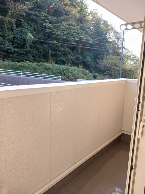 カリス_その他_2