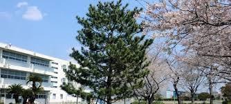 小学校　磐田南小学校（小学校）まで50m