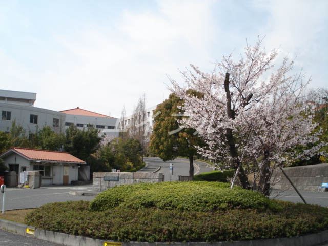 【オリエントIIの大学・短大】