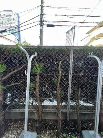 眺望　フロール氷川台